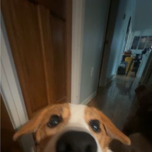 Meet your Posher, Makayla